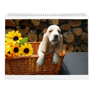 Calendrier de chien de basset