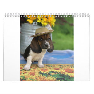 Calendrier de chien de basset comportant E