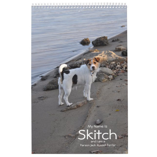Calendrier de chien de Jack Russell Terrier de (Protection)