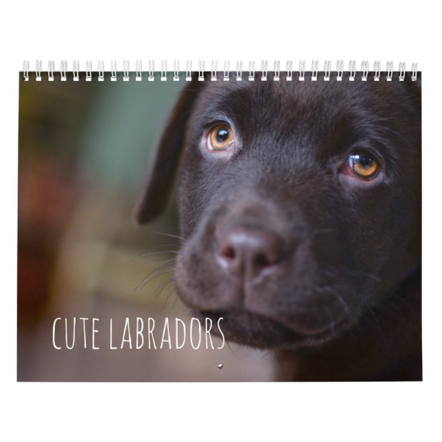 Calendrier de chiens de labrador retriever - (Protection)