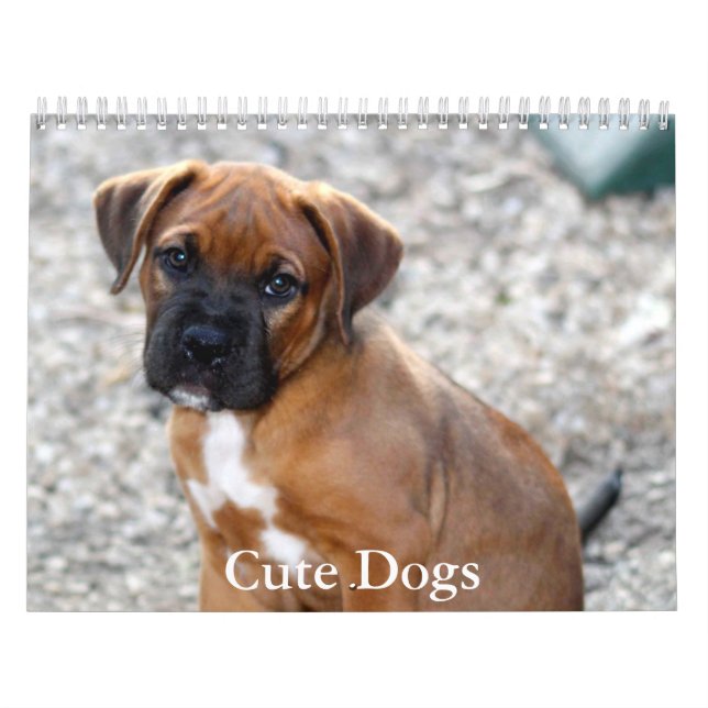 Calendrier de chiens mignons (Protection)