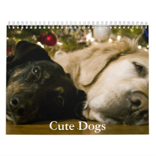 Calendrier de chiens mignons