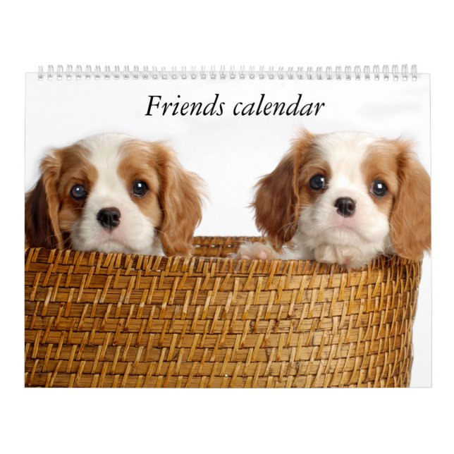 Calendrier de chiot (Protection)