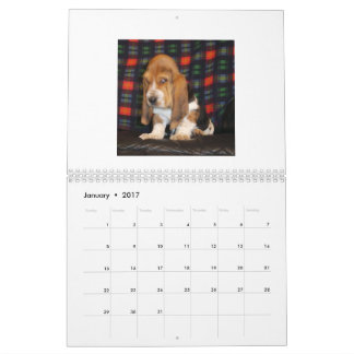 Calendrier de chiot de Basset Hound