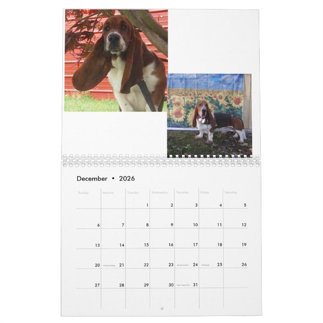 Calendrier de chiot de chien de basset (Dec 2026)