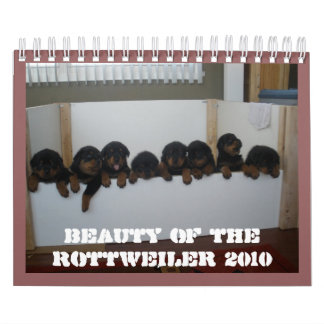 Calendrier de chiot de rottweiler