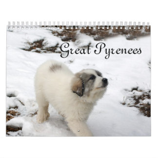 Calendrier de chiots des Pyrénées