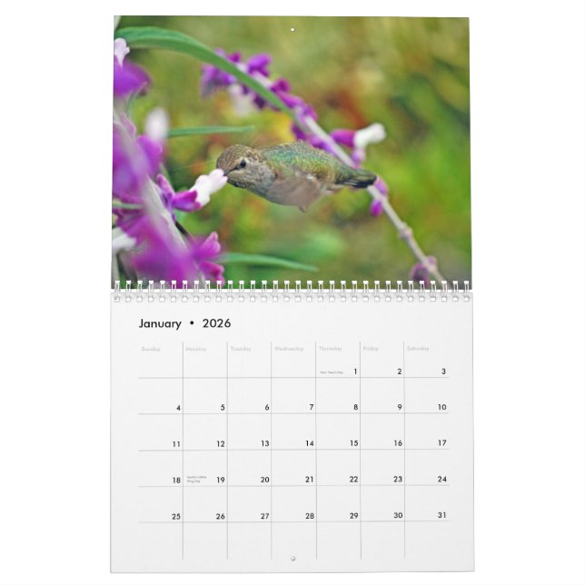 Calendrier de colibri de jardin (Jan 2026)