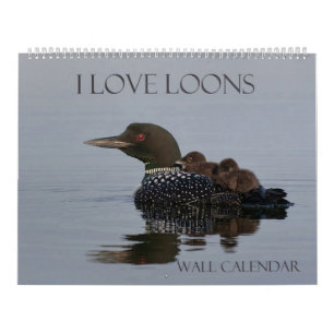 Calendrier de connexion - 14.25 x 11 (grand calend