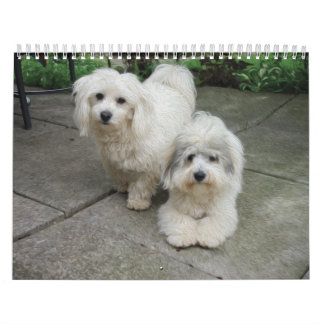 Calendrier de coton