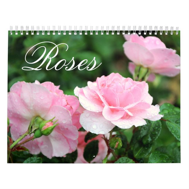 Calendrier de coutume de roses (Protection)