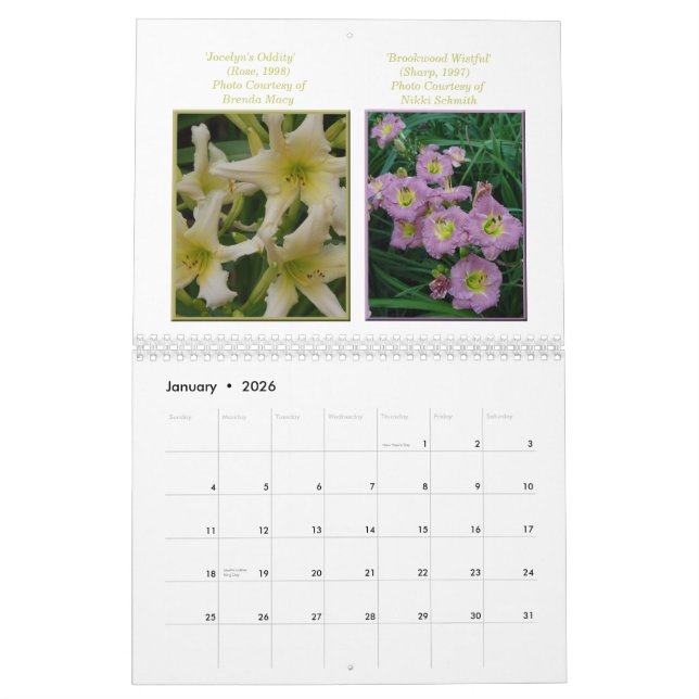 Calendrier de Daylily de 2015 AHS (Jan 2026)