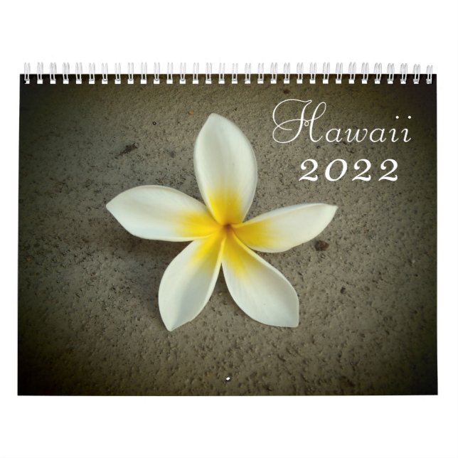 Calendrier de destination pittoresque Hawaii 2022 (Protection)