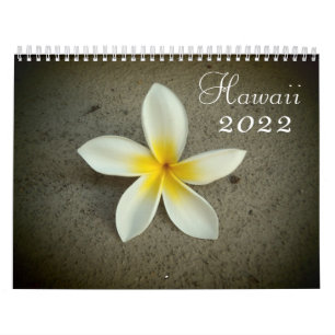 Calendrier de destination pittoresque Hawaii 2022
