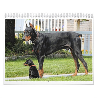Calendrier de dobermann