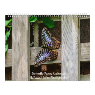 Calendrier de fantaisie de papillon