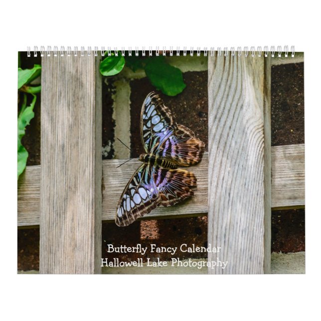 Calendrier de fantaisie de papillon (Protection)