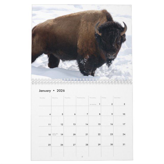 Calendrier de faune (Jan 2026)
