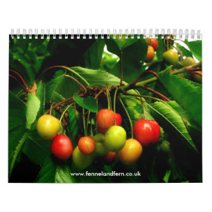 Calendrier de fenouil et de fougère 2010