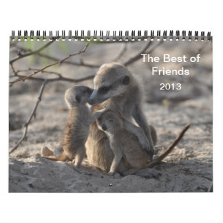 Calendrier de FKMP Meerkats 2013