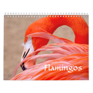Calendrier de Flamant rose