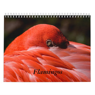 Calendrier de Flamant rose