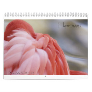 Calendrier de Flamant rose