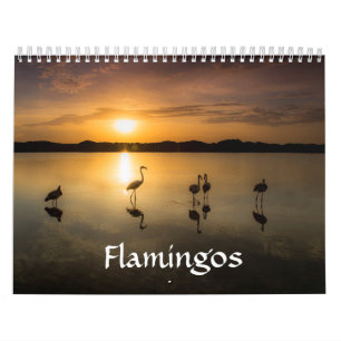 Calendrier de Flamant rose