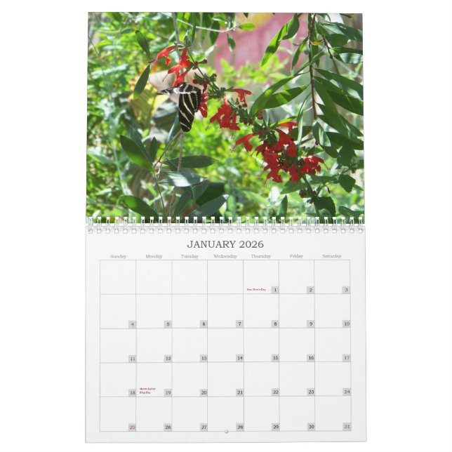 Calendrier de fleurs et de papillons 2011 (Jan 2026)