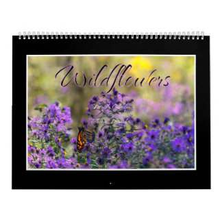 Calendrier de fleurs sauvages par Thomas Minutolo