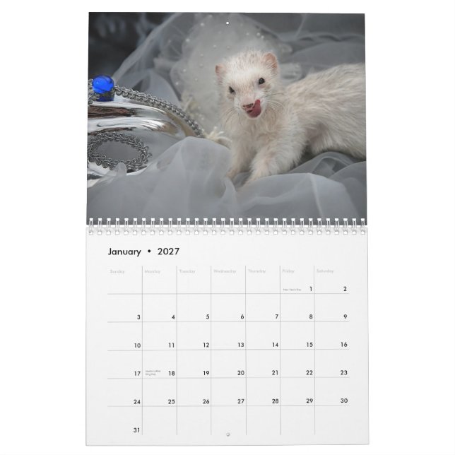 Calendrier de furets - 3 - (Jan 2027)