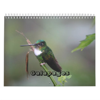 Calendrier de Galapagos