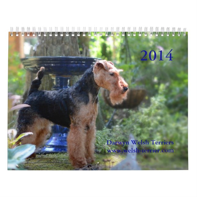 Calendrier de gallois Terrier 2014 par Darwyn (Protection)