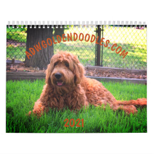 Calendrier de Goldendoodle