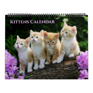 Calendrier de Grands Chatons
