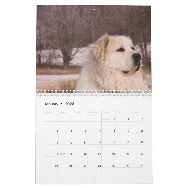 Calendrier de Grands Pyrénées (Jan 2026)