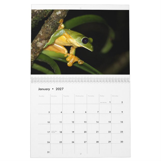 Calendrier de grenouilles du Costa Rica (Jan 2027)