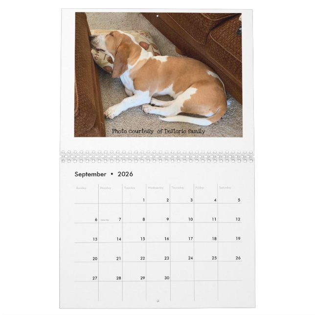 Calendrier de hachage des actifs (Sep 2026)
