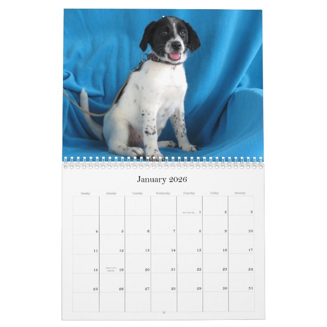 Calendrier De Harlan aux mains sûres (Jan 2026)