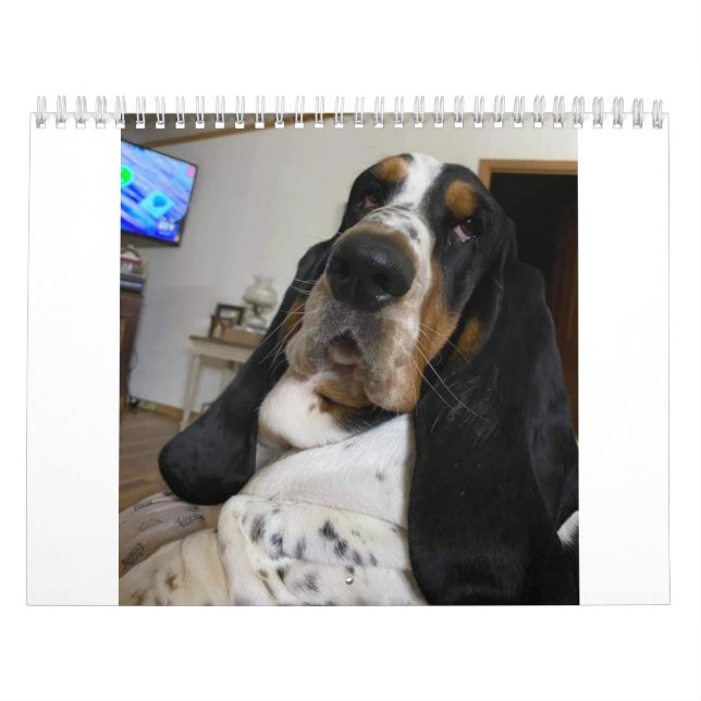 Calendrier de Hound Basset (Protection)