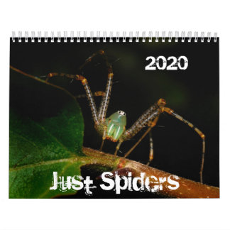 Calendrier de Just Spiders, 2020