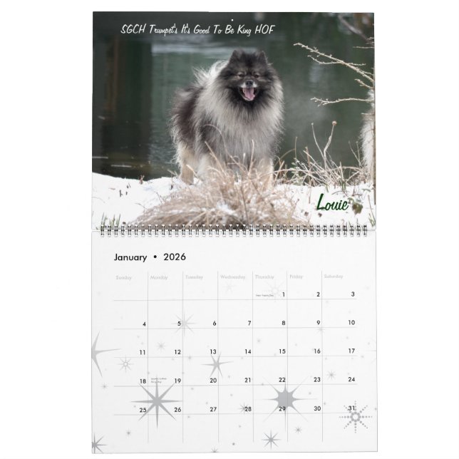 Calendrier de Keeshond de trompette (Jan 2026)