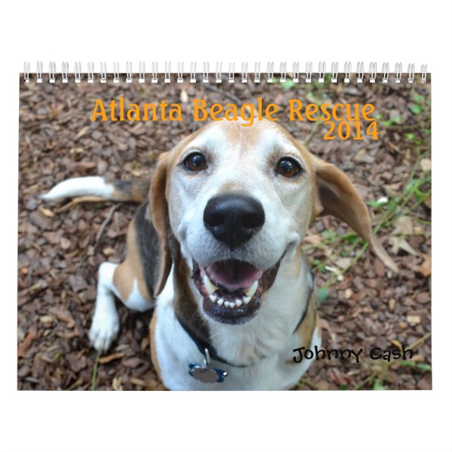 Calendrier de la délivrance 2014 de beagle (Protection)