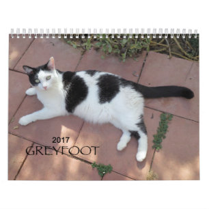 Calendrier de la délivrance 2017 de chat de