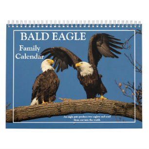 Calendrier de la famille de l'aigle à tête blanche