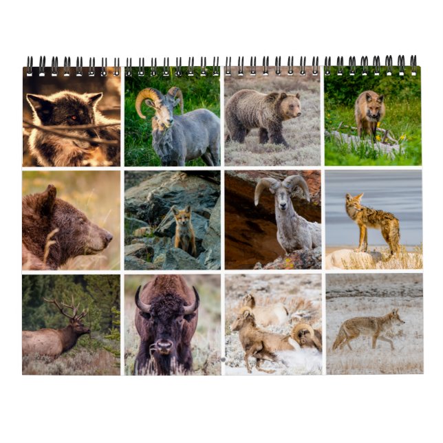 Calendrier de la faune (Dos)