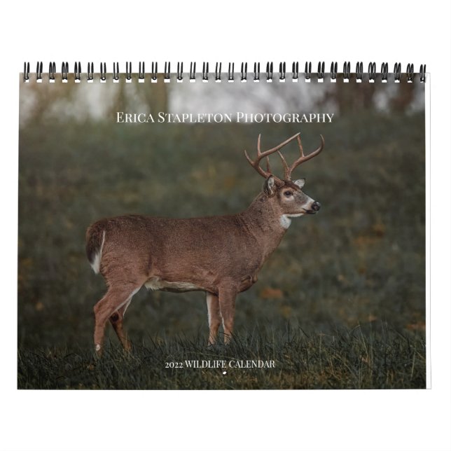 Calendrier de la faune (Protection)