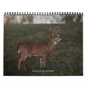 Calendrier de la faune