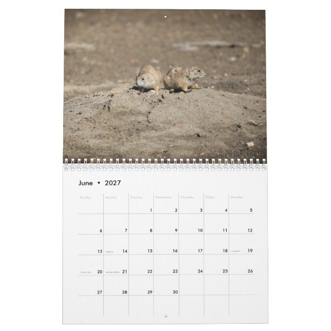 Calendrier de la faune 2024 (Jun 2027)