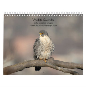 Calendrier de la faune 2025